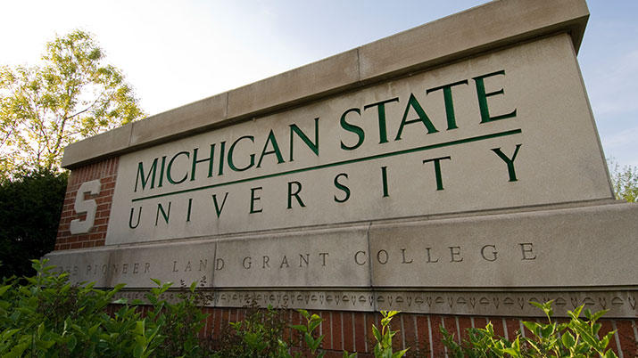 msu